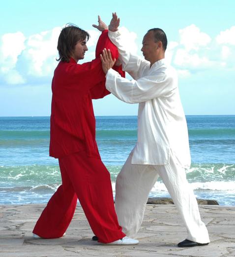 Tui Shou, interacción dinámica entre Yin y Yang.